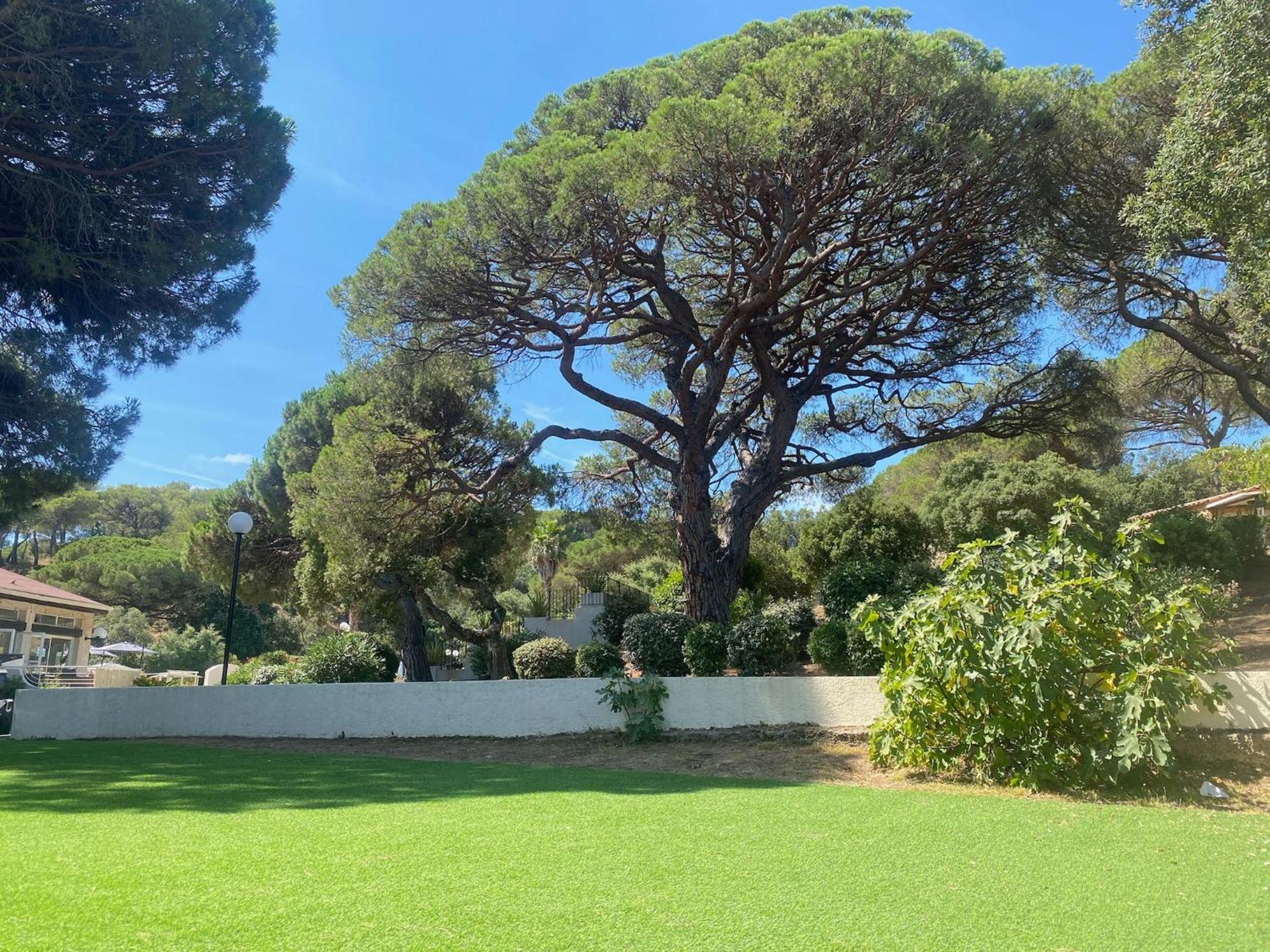 La Joya De Villepey Saint Aygulf Dış mekan fotoğraf