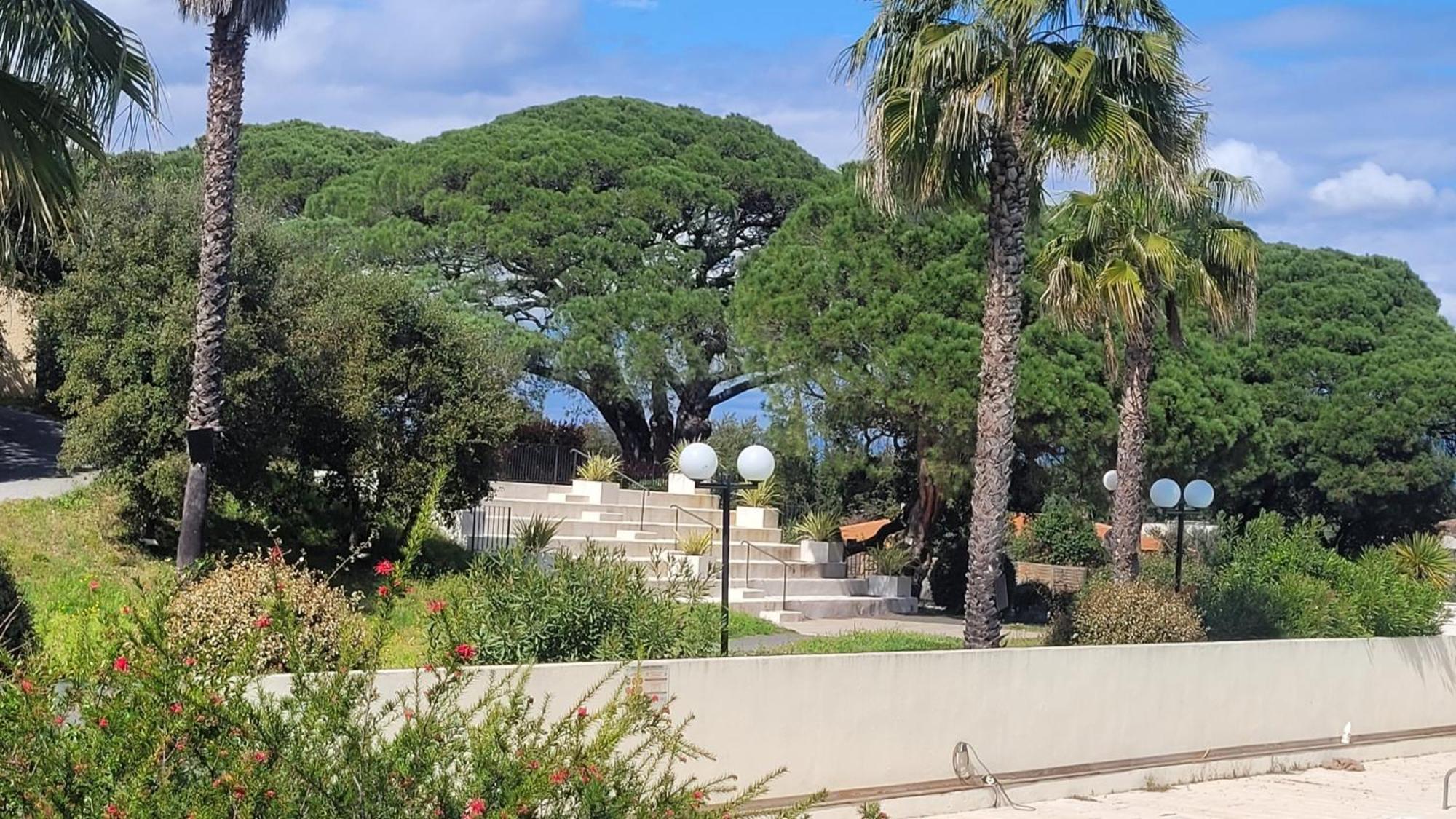 La Joya De Villepey Saint Aygulf Dış mekan fotoğraf