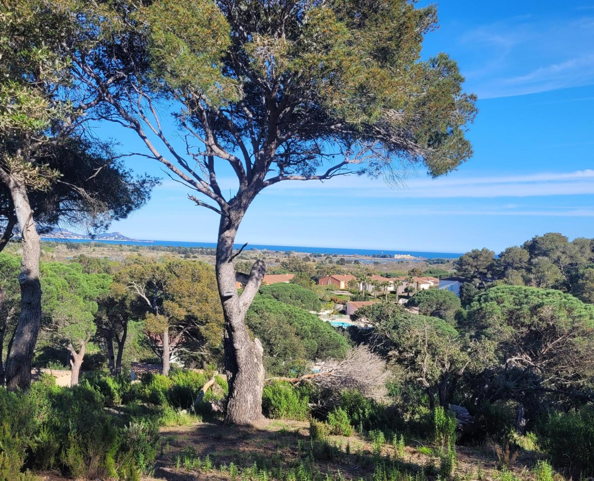La Joya De Villepey Saint Aygulf Dış mekan fotoğraf